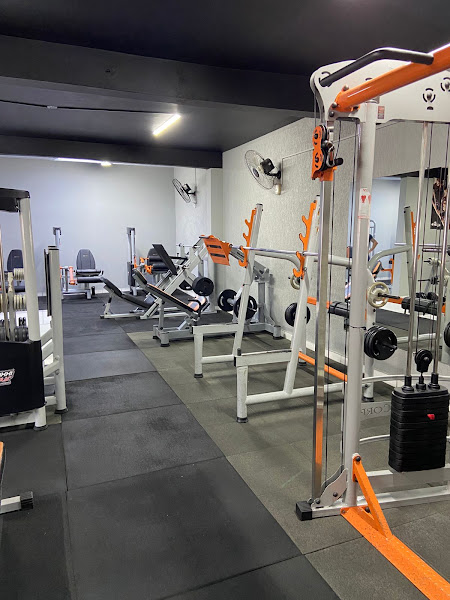 Academia New Gym